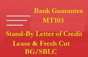 Providers of Fresh Cut BG,  SBLC and MTN