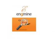 Promote Online Marketing With Engmineseo 
