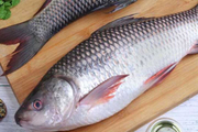Trusted Fish Online Delivery Bhubaneswar
