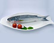 Buy Pohola Fish Online | NONVEGBAZZAR