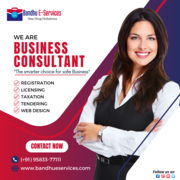 BANDHU e-SERVICES - Best Business Consultant Company in Bhubaneswar