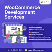 BeePlugin's Custom WooCommerce Development Services!